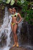 jamaican bikini.jpg
