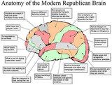 pic_political-RepublicanBRAIN.jpg