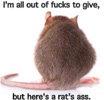 pic_Rat'sASS.jpg