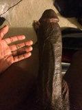 950_1000Black Dicks Vol 33.jpg