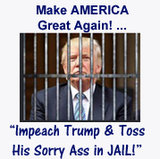 pic_political-TRUMP-inPRISON3.jpg