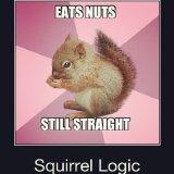 squirrel logic.jpg