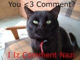 I iz comment Nazi.jpg