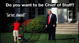 pic_political-Trum-choosingChiefOfStaff.jpg