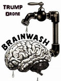 pic_BrainWashing2.jpg