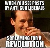 when-you-see-posts-antigun-liberals-screamnig-for-revolution.jpg