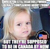 liberals-whining-about-trump-supposed-to-be-in-canada.jpg