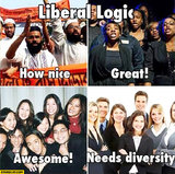 liberal-logic-only-black-muslim-asian-people-in-the-picture-ok-only-white-people-needs-diversity.jpg