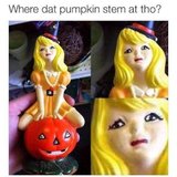 pumpkin-stem.jpg