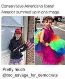 conservative-america-vs-liberal-america-summed-up-in-one-image-35365424.png