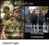 perfectly-normal-tolerant-scary-protecting-mtimidaingfreedoms-liberal-logic-27869609.png