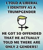 Trumpgender_jpg-1011701.JPG.jpg