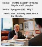 trump_puppies_no_care-1013290.jpg