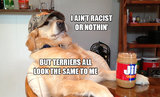 racist-dog-1.jpg