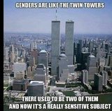 Gender_Twin_Towers_jpg-1096918.JPG.jpg