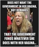 10ddcec3eade1d869ea71390c4799d15--stupid-liberals-liberal-logic.jpg