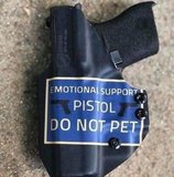 Emotional_Support_Pistol_jpg-706767.JPG.jpg