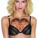 TRUMP_TITS_1.jpg