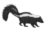 gif_Skunk.gif