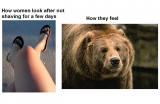 unshaven-legs-how-women-look-after-not-shaving-for-a-few-days-how-they-feel.png