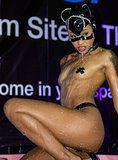 exxxotica-2015---edison-nj_22682006007_o.jpg