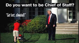 pic_political-Trum-choosingChiefOfStaff.jpg