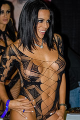 exxxotica-2014---edison-nj_15767824291_o.jpg