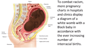 preg chart dsertewrt.png