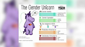 5462909_081219-wpvi-BT-gender-unicorn-video-vid.jpg