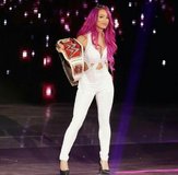 Sasha Banks WWE Diva Pics (1).jpg