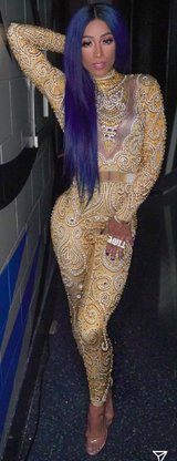 Sasha Banks WWE Diva Pics (18).jpg