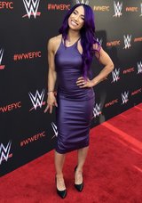 Sasha Banks WWE Diva Pics (36).jpg