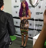 Sasha Banks WWE Diva Pics (40).jpg