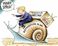 cartoon_political-TrumpCovidDistributionPlan.jpg