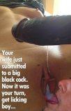 8825899-cuckold-board-1-of-230-boards.jpg