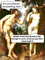 adam1a.jpg