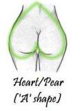 Heart Pear ('A' shape).jpg