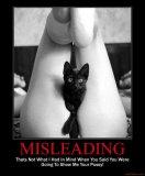misleading-women-legs-cat-pussy-demotivational-poster-1260592834.jpg